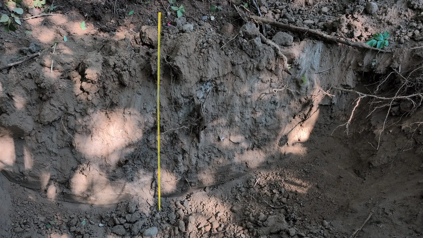 A hand-dug test pit on a Mission property, tape in place against the soil profile